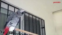 İYİ Partili Ahmet Erozan'dan 'Andımız' okuyan papağan paylaşımına tepki yağdı