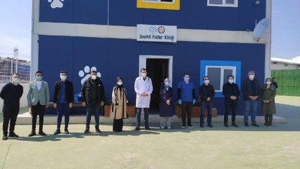 Belediyeden hayvan sahiplenenlere 'mama ve aşı desteği?