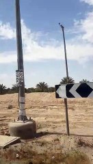 pauwi na kami galing farm