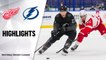 Red Wings @ Lightning 4/3/21 | NHL Highlights