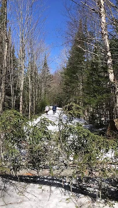 2021 - Fonte des neiges