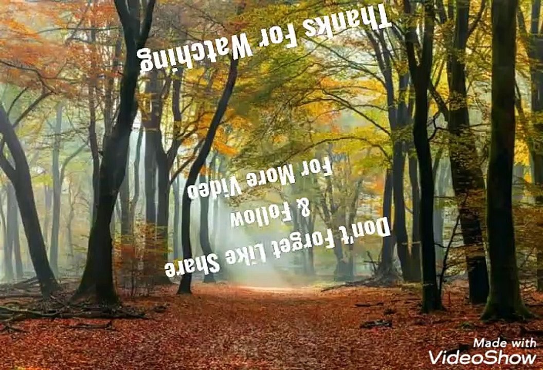 Thank