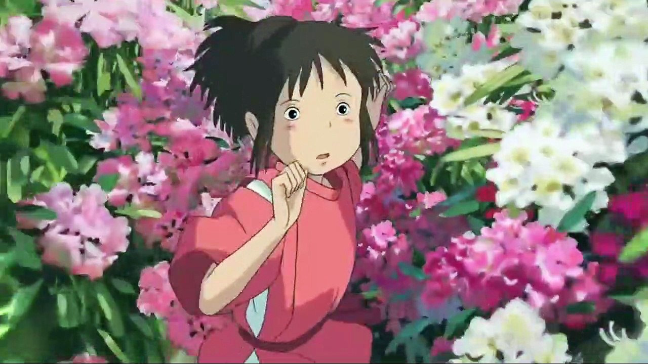 Camping AMV