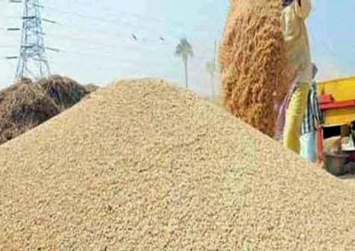 अनाज तथा फल-सब्जी मंडी दोनों ही रिकॉर्ड तोड़ आवक