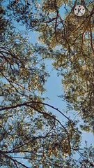 maa bache ko dood pilane ki fazilat