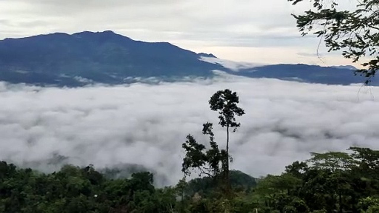 maragusan