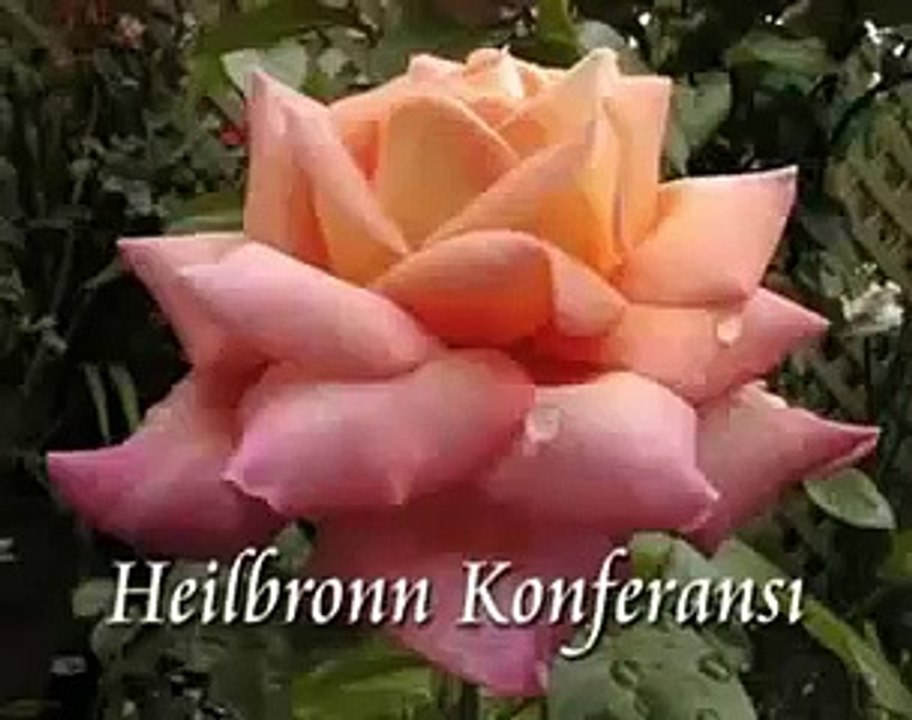 FETÖ ve Adnan Oktar'dan sonra sıra yalancı peygamber İskender Evrenesoğlu'nda