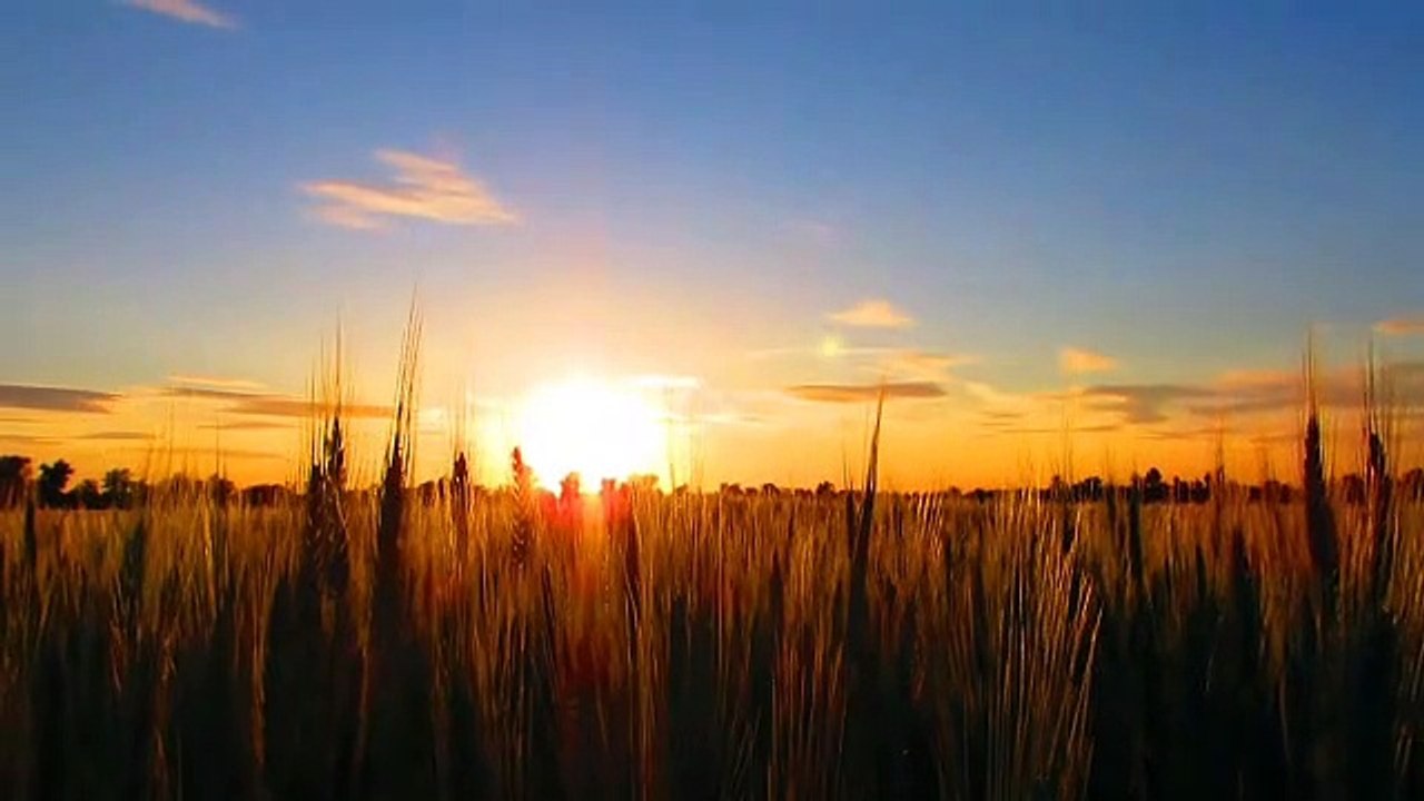 Relaxing music  don't miss it