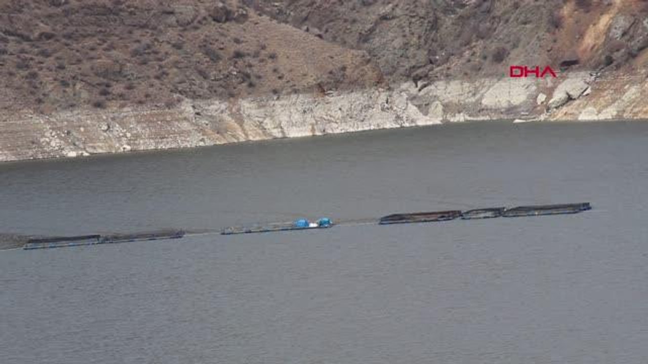 Son dakika... ERZURUM AYVALI BARAJ GÖLÜ'NDE ALABALIK VE SOMON ÜRETİMİ