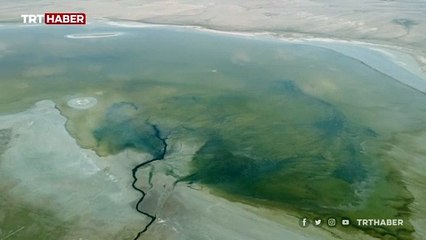 'Flamingo cenneti' kuruyor