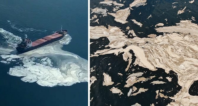 Beyaza bürünen Gemlik Körfezi korkuttu