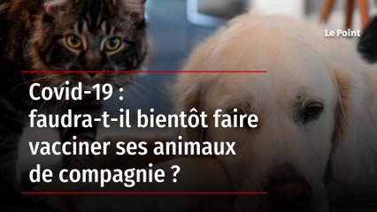 Covid-19 : faudra-t-il bientôt faire vacciner ses animaux de compagnie ?