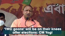 ‘TMC goons’ will be on their knees after elections: CM Yogi Adityanath