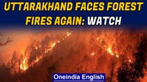 Uttarakhand Forest fire: State seeks Centre's help as 4 humans and 7 animals die | Oneindia News