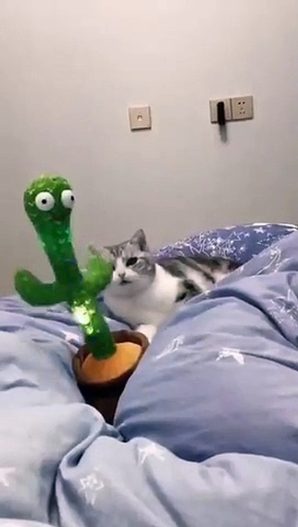 Best videos, Top videos, Viral videos Funny videos no. 17