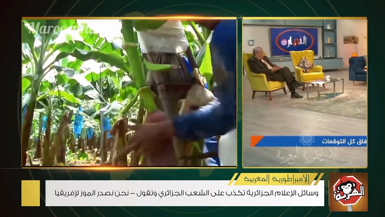 إضحك من قلبك مع الإعلام الجزائري : نحن قوة إقليمية ونصدر الموز للعالم