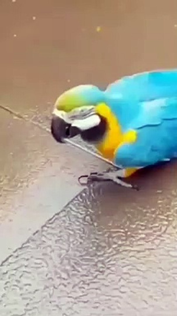 Best videos, Top videos, Viral videos Funny videos no. 23