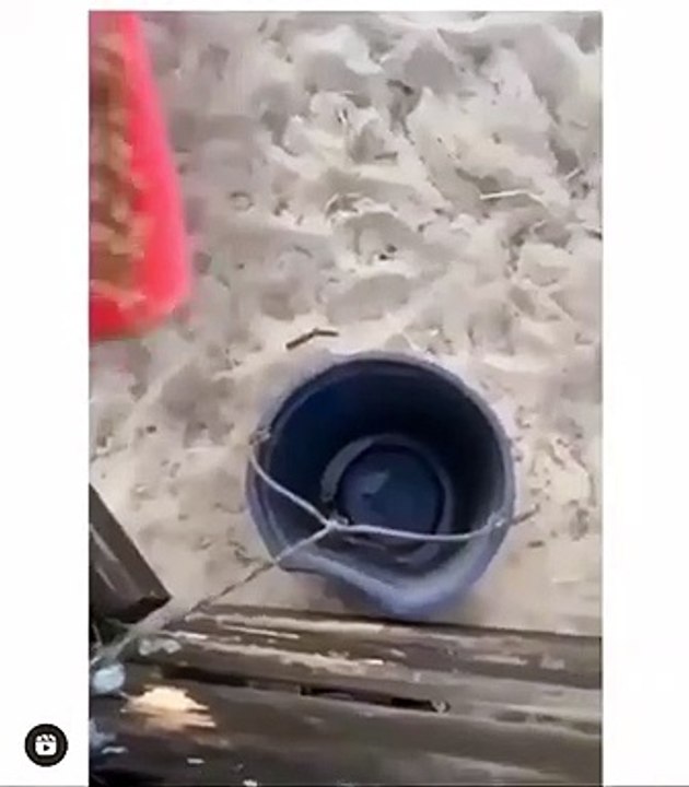 Funny video