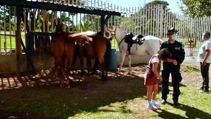 Horses provide emotional support for Costa Rican patients