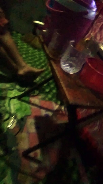 salamat