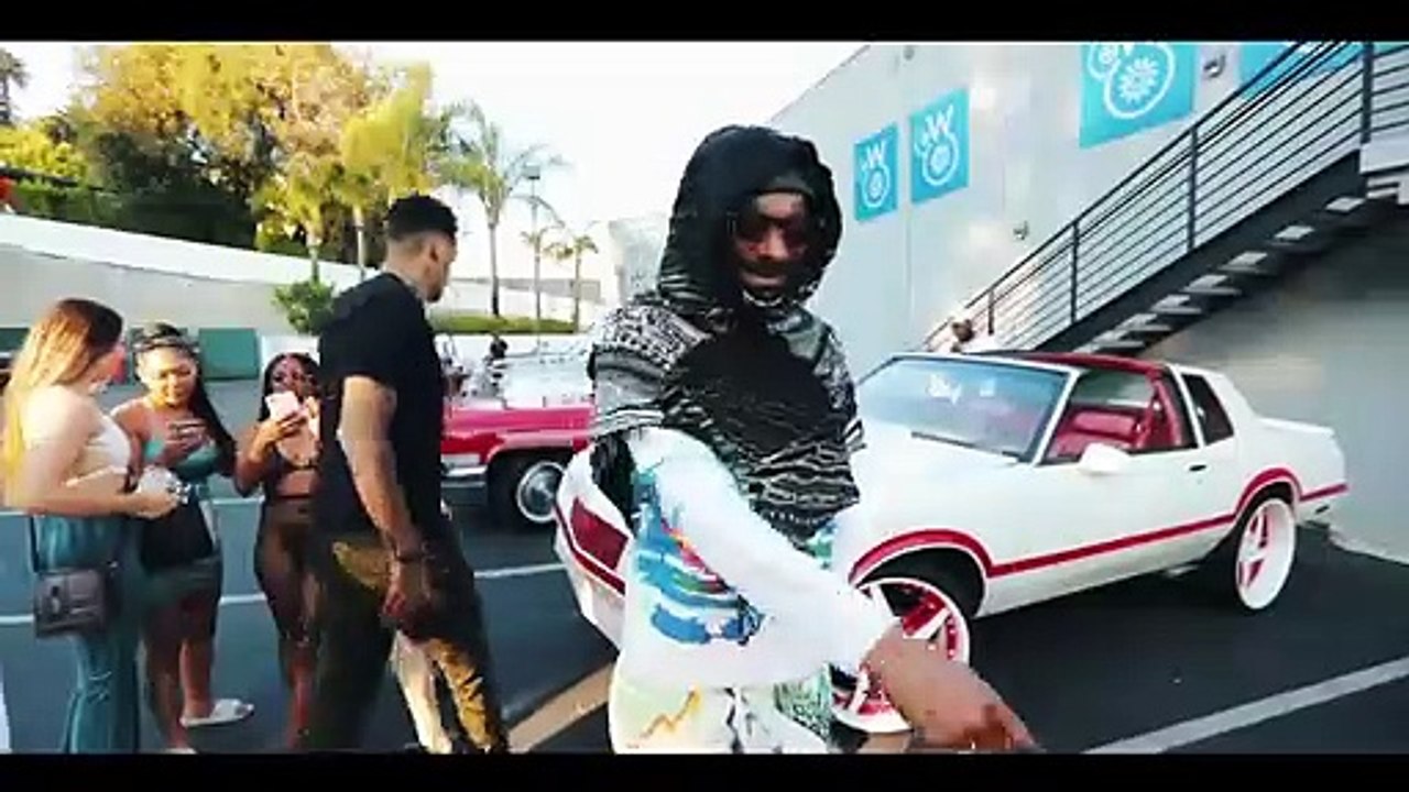 Snoop Dogg - Roaches In My Ashtray (feat. ProHoeZak) [Official Music Video]
