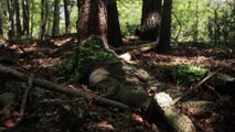 US Marines • Scout Sniper School Stalk Training