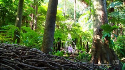 Gardening Australia episode 8 2021