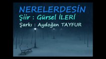 Gürsel İleri - Nerelerdesin & Aydoğan Tayfur - Nerelerdesin