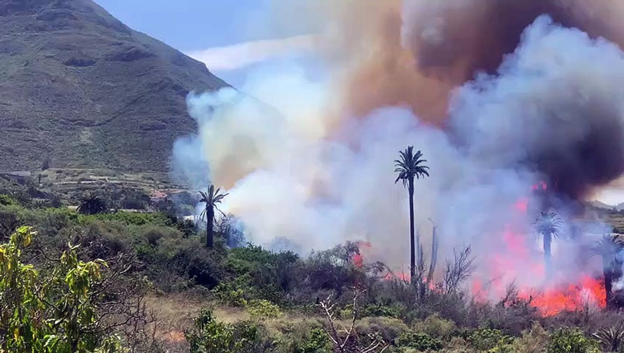 Intervienen en un incendio en Bajamar, La Laguna (Tenerife)