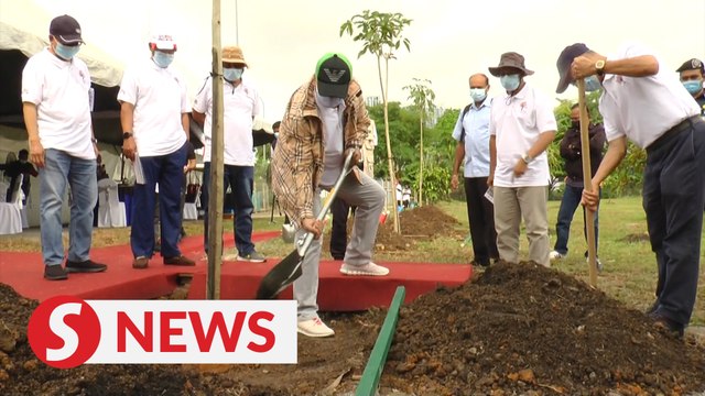 A million trees to be planted in Federal Territories
