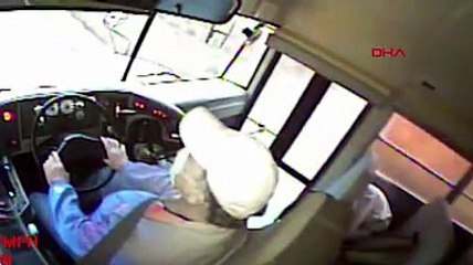 Geyik, seyir halindeki servisin ön camından içeriye girdi!