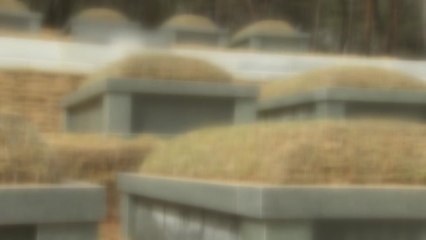 '조상묘 모으기' 성행 ...자연 훼손·산사태 위험 / YTN