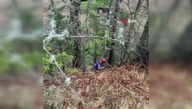 Tilki kovalarken düştüğü uçurumda 4 gündür mahsur kalan köpek kurtarıldı