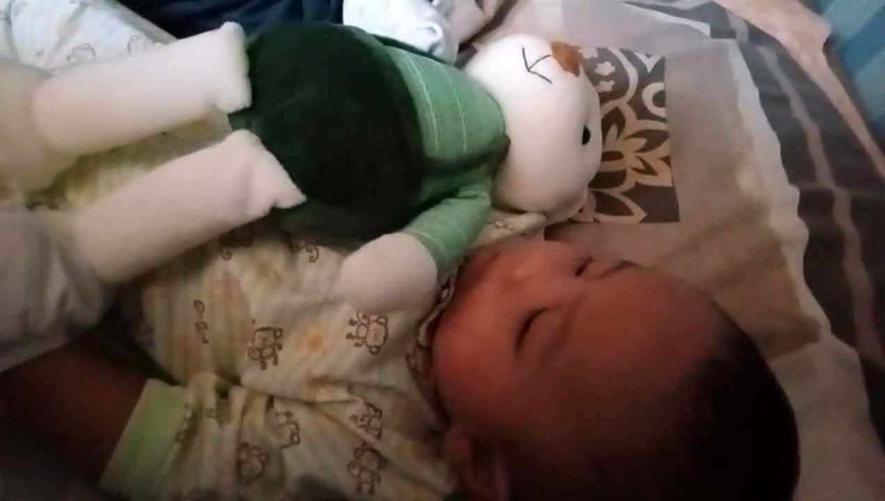 my favorite bunny