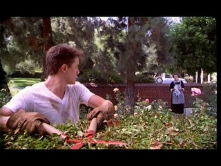 Dioses y monstruos - Tráiler español