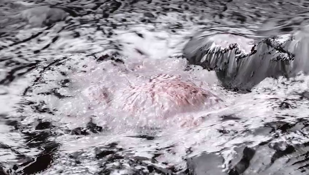 Salt Water Remnants on Ceres