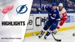 Red Wings @ Lightning 4/4/21 | NHL Highlights