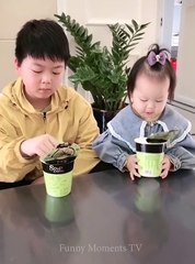 2 Lovely Mischievous Brothers #4 -  Funny Baby Video  - Tik Tok Compilation