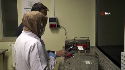 Buzağı İshali Teşhisinde Kullanılacak ‘Erken Tanı Kiti’ Seri Üretime Geçiyor