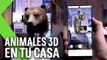 ANIMALES 3D en TU CASA | Así es la nueva función de GOOGLE