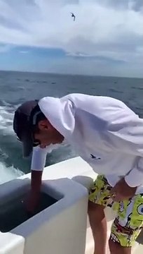 Un lion de mer monte à l'arrière d'un bateau