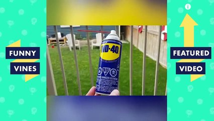 [1 Hour] Try Not To Laugh - Funny Videos Compilation | Best Of The Month (August 2018)