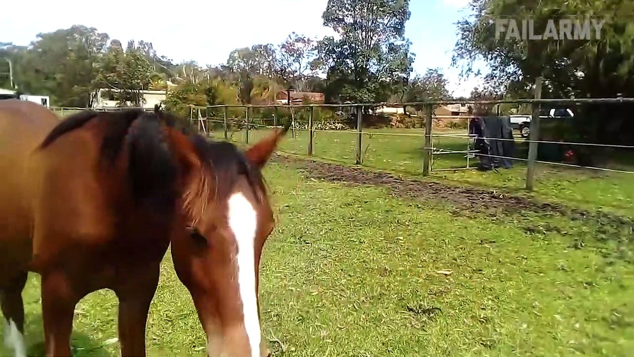 Try Not To Laugh  Funniest Farm Animals Scared Reactions | Failarmy