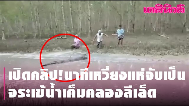 เปิดคลิป!นาทีเหวี่ยงแหจับเป็น จระเข้น้ำเค็มคลองลีเล็ด | Dailynews | 050464