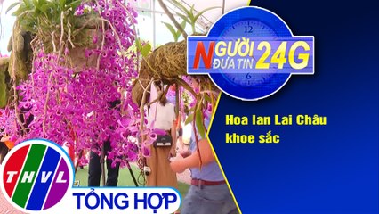 Người đưa tin 24G (6g30 ngày 4/4/2021) - Hoa lan Lai Châu khoe sắc