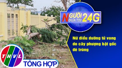 Người đưa tin 24G (18g30 ngày 3/4/2021) - Nữ điều dưỡng tử vong do cây phượng bật gốc đè trúng