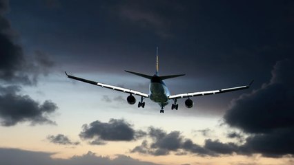 De película: ¿por qué un menor de 3 años viajó de Bogotá a Miami sin sus padres?