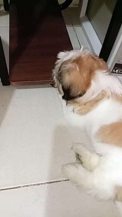 COMPUTER TABLE EATER