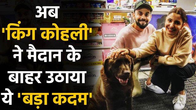 Virat Kohli takes 1st step towards animal welfare on World Stray Animals Day | वनइंडिया हिंदी