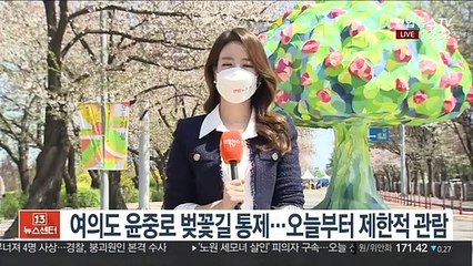 [날씨] 윤중로 제한적 관람…전국 포근하고 쾌청